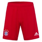 Pantalon Bayern Munich 1ª 2020-21 Rouge Pantalon Bayern Munich 1ª 2020-21 Rouge