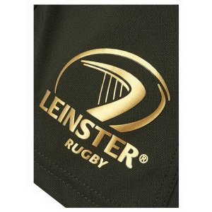 Pantalon Leinster 2ª 2018 Vert