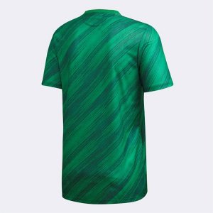 Thailande Maillot Irlande du Nord 1ª 2020 Vert