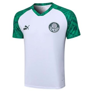 Maillot Entrainement Palmeiras 2023-24 Blanc Vert