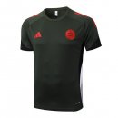 Maillot Entrainement Bayern Munich 2025-26 Vert 3