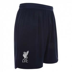 Pantalon Liverpool 2ª 2019-20 Bleu Marine