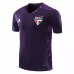 Thailande Maillot São Paulo Gardien 2020-21 Purpura Thailande Maillot São Paulo Gardien 2020-21 Purpura
