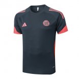 Maillot Entrainement Bayern Munich 2025-26 Gris 4