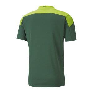 Thailande Maillot Sénégal 1ª 2020 Vert