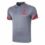 Polo Liverpool 2020-21 Gris Clair