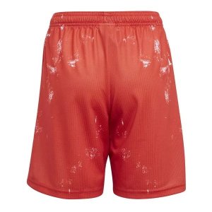 Pantalon Bayern Munich Human Race 2020-21 Rouge