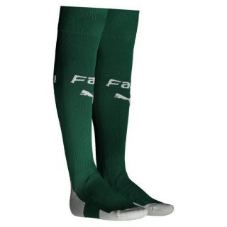 Chaussette Palmeiras 1ª 2019-20 Vert