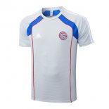 Maillot Entrainement Bayern Munich 2025-26 Gris 3