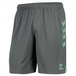 Pantalon Everton 3ª 2020-21 Vert