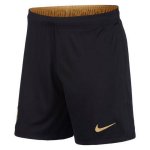 Pantalon Barcelone 2ª 2020-21 Noir Pantalon Barcelone 2ª 2020-21 Noir