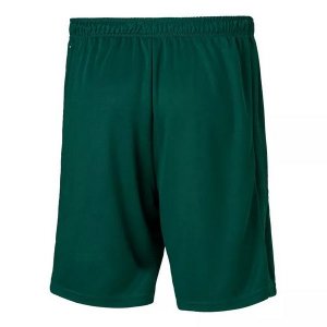 Pantalon Palmeiras 2ª 2020-21 Vert