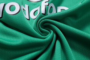 Thailande Maillot Irlande 1ª 2018 Vert