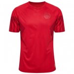 Thailande Maillot Denmark 1ª 2022-23 Rouge