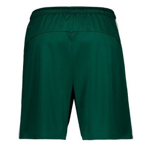 Pantalon Palmeiras 2ª 2019-20 Vert