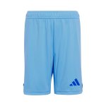 Pantalon Real Madrid 1ª Gardien 2024-25