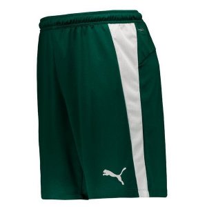 Pantalon Palmeiras 2ª 2019-20 Vert