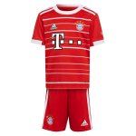 Maillot Bayern Munich 1ª Enfant 2022-23 Maillot Bayern Munich 1ª Enfant 2022-23