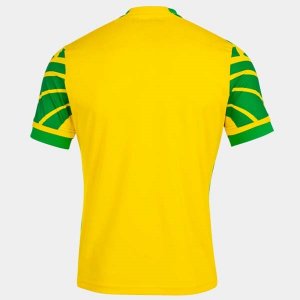 Thailande Maillot Norwich City 1ª 2021-22