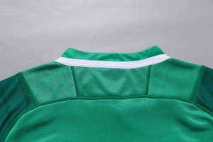 Thailande Maillot Irlande 1ª 2018 Vert