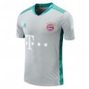 Thailande Maillot Bayern Munich Gardien 2020-21 Gris