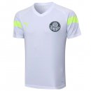 Maillot Entrainement Palmeiras 2023-24 Blanc