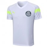 Maillot Entrainement Palmeiras 2023-24 Blanc