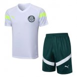 Maillot Entrainement Palmeiras Ensemble Complet 2023-24 Blanc